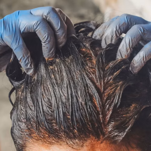 Natural Hair Dye -Black All Natural Ingredients