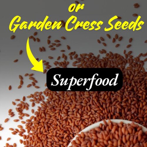 Halim seeds - 100gm