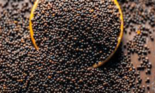Black Rai -100g