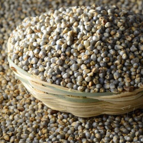 Whole Bajra (Pearl Millet) 1Kg