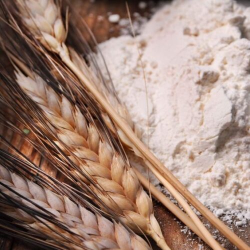 Jaivik Wheat Flour – Organic wheat -Stone-Ground - 3kg