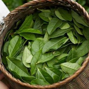 Bay Leaf (Tej Patta, 1 Pack)