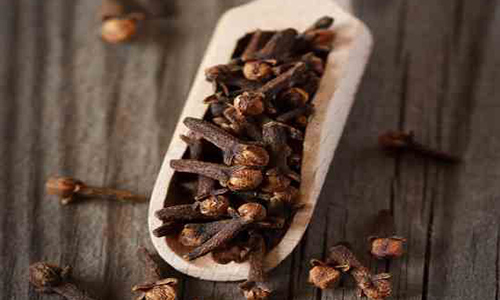 Clove – Laung – With Oil Content (100 Gms)