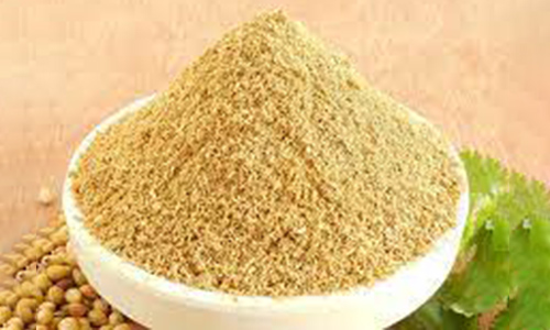 Coriander Powder –200Gm