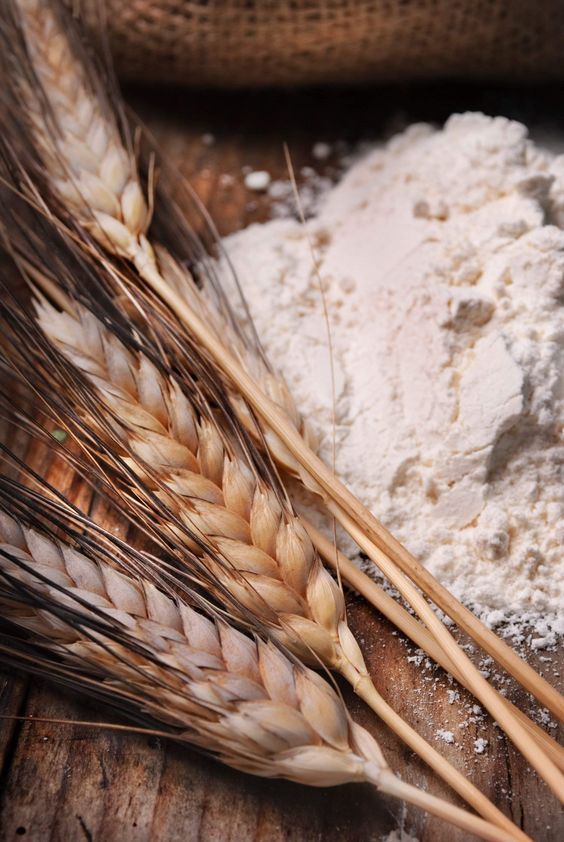 Jaivik Wheat Flour – Organic wheat -Stone-Ground – 3kg