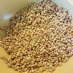 Moth/ Matki Dal naturally grown โ 500gm