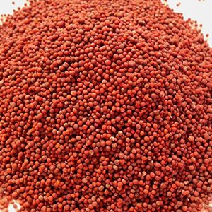 Red Desi Rai