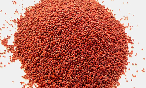 Red Desi Rai