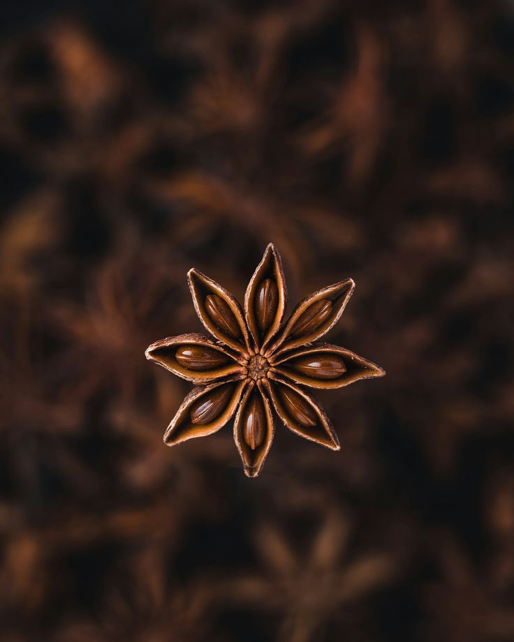 Star Anise/ Chakri Phool- 100Gm – import from srilanka
