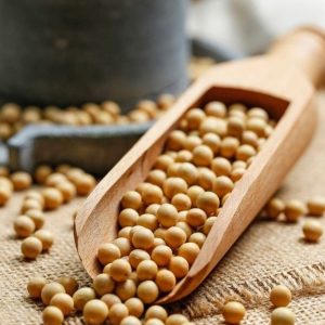 White Pea – Matar – 500Gm